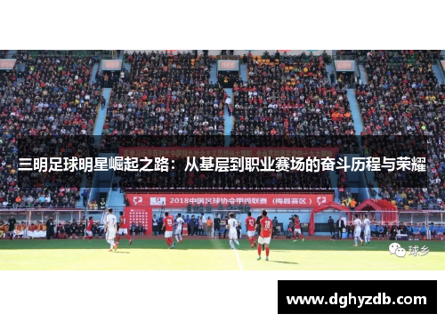 三明足球明星崛起之路：从基层到职业赛场的奋斗历程与荣耀