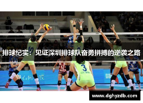 排球纪实：见证深圳排球队奋勇拼搏的逆袭之路