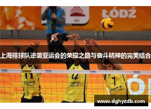 上海排球队逆袭亚运会的荣耀之路与奋斗精神的完美结合